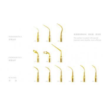 Woodpecker® 10Pcs Dental Ultrasonic Piezo Scaler Tip G1