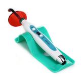LY® Dental Curing Light 2 in 1 Wireless LED Lamp