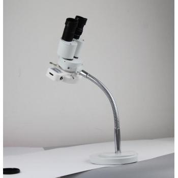 Micare® Dental Desk Lamp LED Binocular Microscope